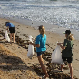 GTM Monthly Beach Cleanup