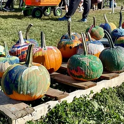 Fall Family Fun Weekends