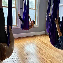 Aerial Yoga Teacher Training Level 1