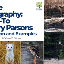 Wildlife Photography: A How-To by Barry Parsons