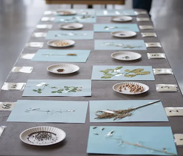 Crops Judging Contest