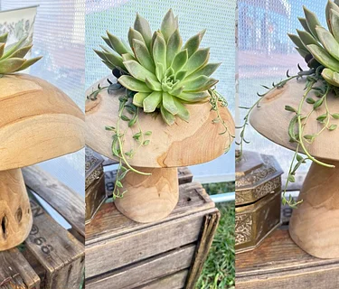 Wooden Mushroom Succulent Arrangement