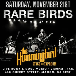 Rare Birds live at The Hummingbird