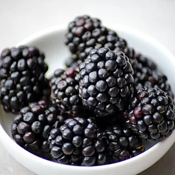 Blackberry Picking 2027 Season