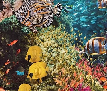 ANNUAL ART TEACHERS’ ART EXHIBIT