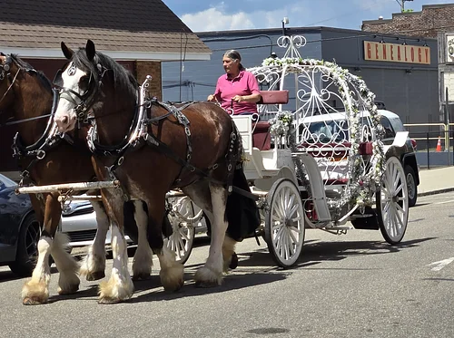 Day of Enchantment – A Magical Downtown Experience