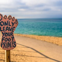 The Outdoor Ethic