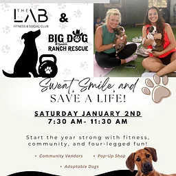 Barks & Bells