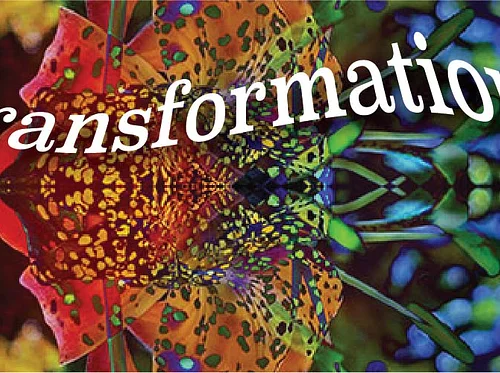 Open Art Exhibition: “Transformation”