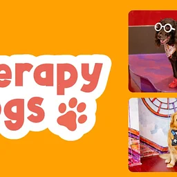 Therapy Dogs at TCMU