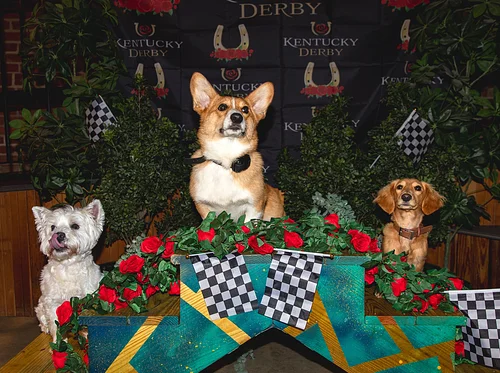 3rd Annual Park-9 Derby