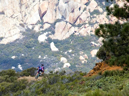 Sage Brush Safari 2026