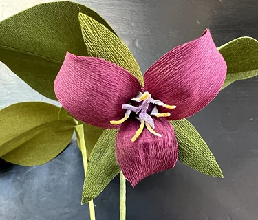 Creating Paper Botanicals: Trillium