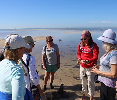 Guided Beachwalks at Ocean’s Reach