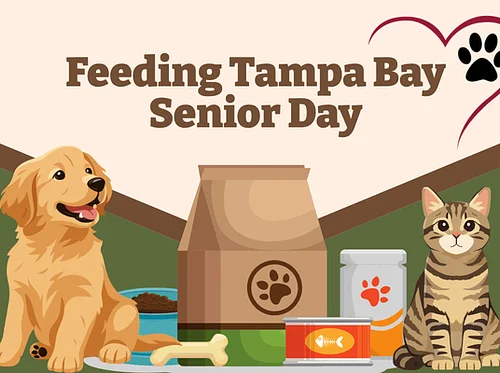 Feeding Tampa Bay Senior Day