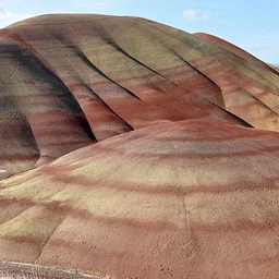 Lecture: Thinking in Mammoth Time: What Lost Ecosystems Can Teach Us About Our Living Planet