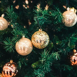 Holiday of Trees and Craft Bazaar