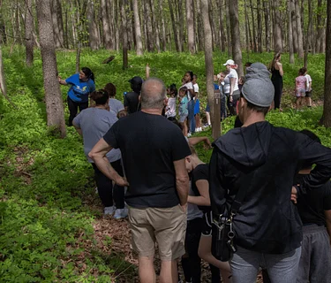 Spring Awakening Hike