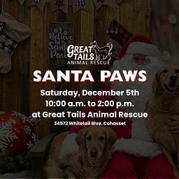Santa Paws