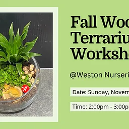 Fall Woodland Terrarium – Chelmsford