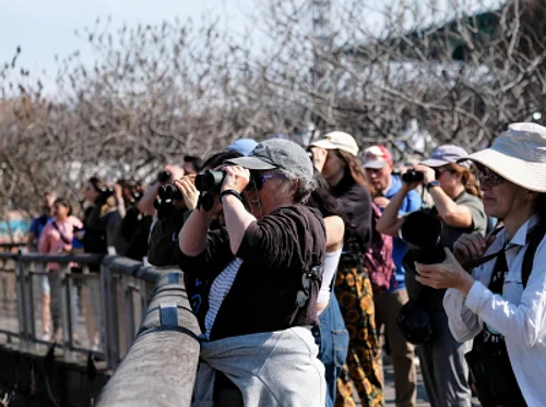 Let’s Go Birding Together (LGBT)
