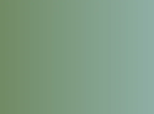 Trees For Bees at the Clive Public Library