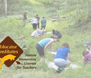 Leveling Up Nature Based Learning Through Play
