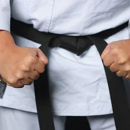 Adult Karate Open House