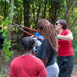Urban Forest Support Initiative