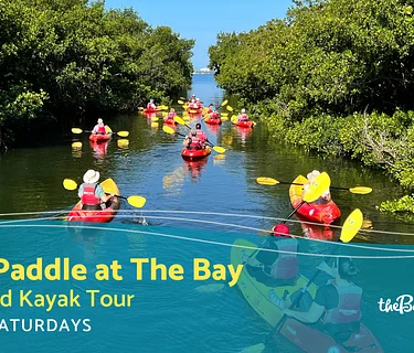 Ride and Paddle at The Bay (Guided Tour)