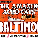 The Amazing Acro-Cats