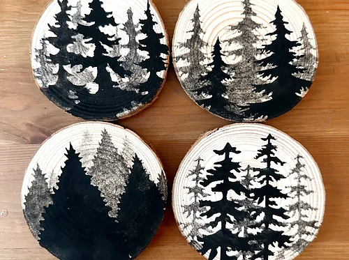 Windham Mountain Forest Coaster Workshop W/ Stephani Dimopoulos