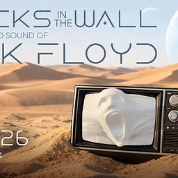 Bricks in the Wall - Pink Floyd Tribute