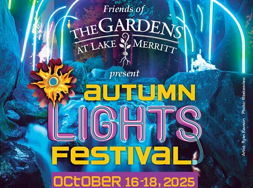 Autumn Lights Festival