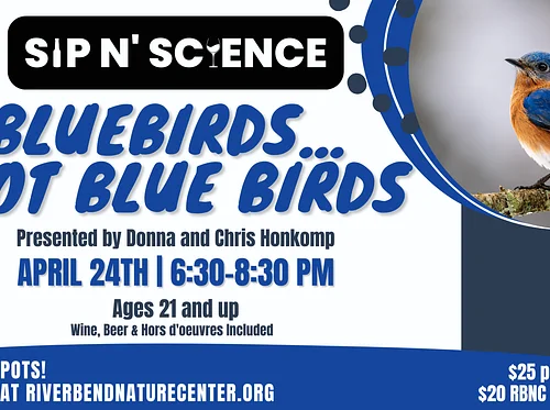Sip N’ Science- Bluebirds… Not Blue Birds!