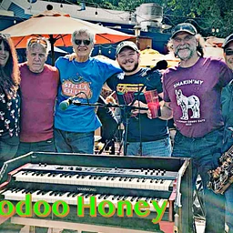 Live Music: Hoodoo Honey