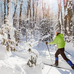 Explore Our Trails