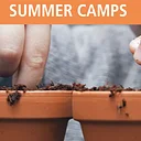 Magic in the Garden Summer Camp 7.6-7.10