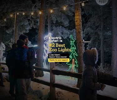 Electric Safari – (Dec. 2-Jan. 1, 2027)