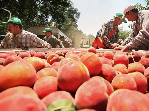 Artist Reception | Labor Daily Exhibition