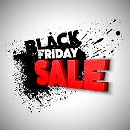 Black Friday Sale