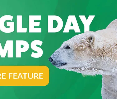 Single Day Camp – May 1, 2026 “Creature Feature” (SOLD OUT)