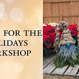 Gnome For The Holidays