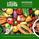 STEAM Outdoors with Sprout and Blossom: Fruits & Vegetables