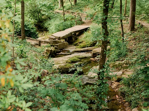 Kaul Wildflower Garden Tour