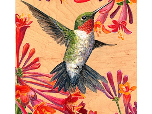 Amanda Spaid: Locals