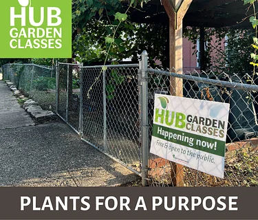 HUB Garden Class: Plants for a Purpose