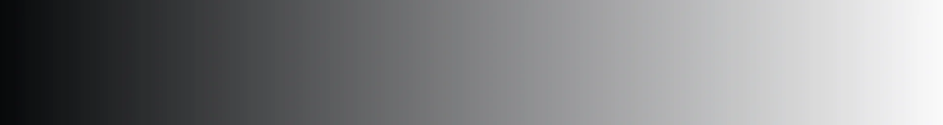 New Texas Symphony Orchestra