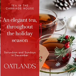 Holiday Tea – Dec 19