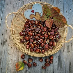 From Harvest to Kitchen: Acorns & Persimmons